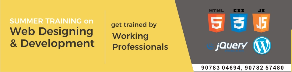 Web Designing and Development Banner
